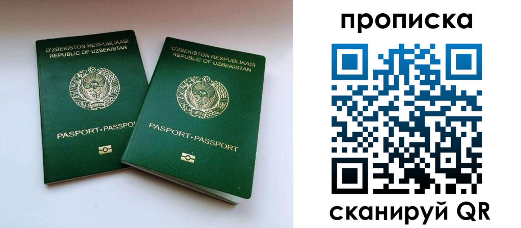 прописка поиск в Нарьян-Маре
